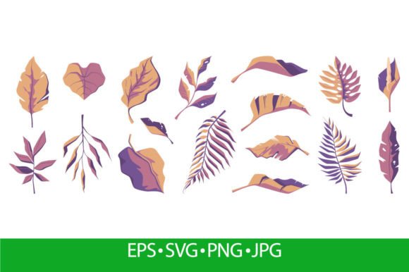 Download Exotic Leaf Collection. Tropical Abstrac - Premium Resources